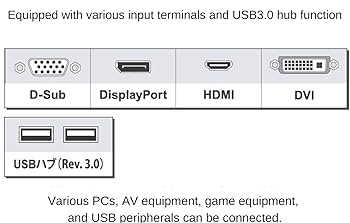2台　超狭額　EIZO　EV2456　24型　WUXGA　HDMI　IPS EV2456 24.1